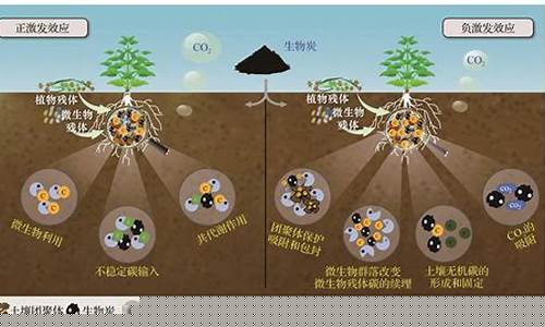 如何利用生物技術(shù)解決環(huán)境工程中的污染問題？(用生物技術(shù)解決水污染)